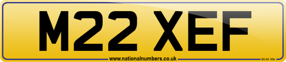 M22 XEF