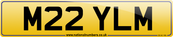 M22 YLM