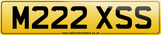 M222 XSS