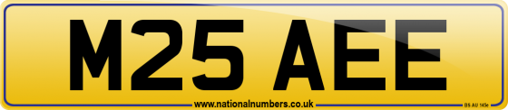 M25 AEE