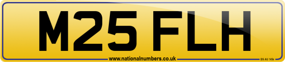 M25 FLH