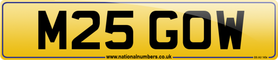 M25 GOW