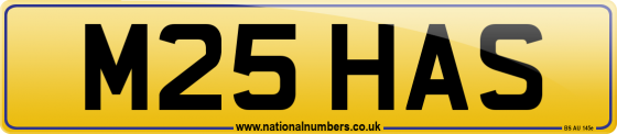 M25 HAS