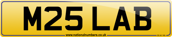 M25 LAB