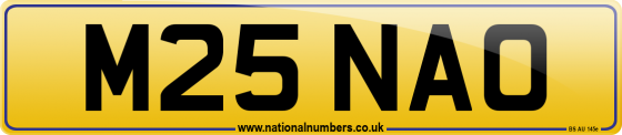 M25 NAO