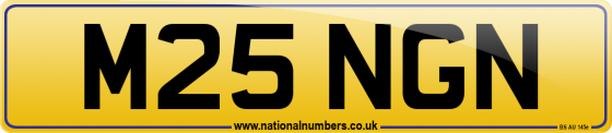 M25 NGN