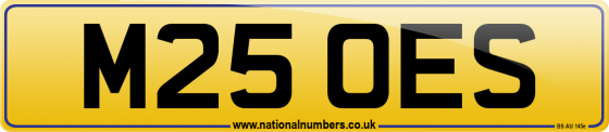M25 OES
