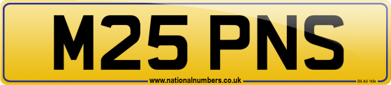 M25 PNS