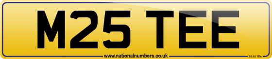 M25 TEE