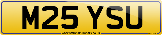 M25 YSU