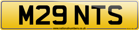 M29 NTS