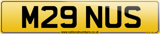 M29 NUS