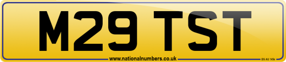 M29 TST