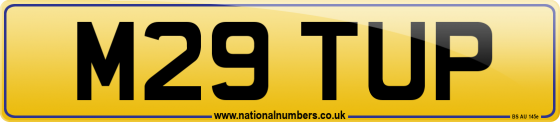 M29 TUP