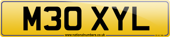 M30 XYL