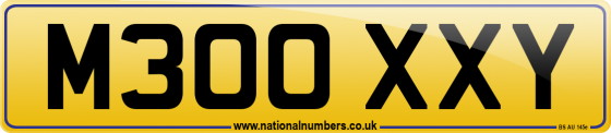 M300 XXY