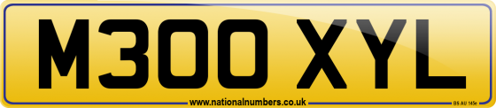 M300 XYL