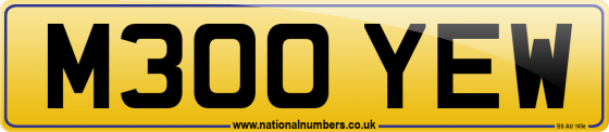 M300 YEW