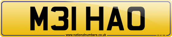 M31 HAO