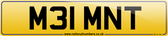 M31 MNT