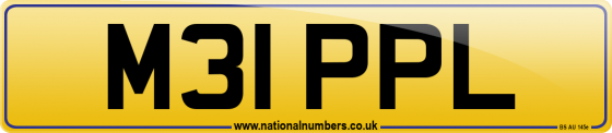 M31 PPL