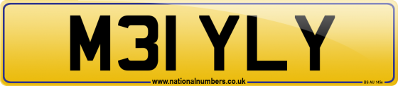 M31 YLY