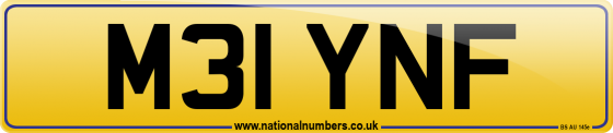 M31 YNF