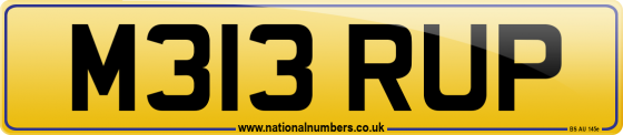 M313 RUP