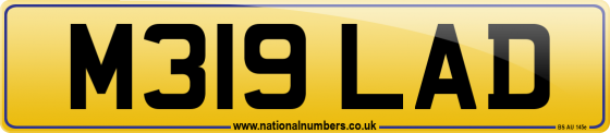 M319 LAD
