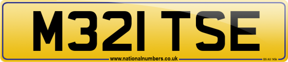 M321 TSE