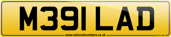 M391 LAD