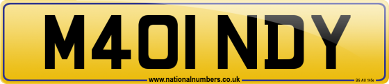 M401 NDY