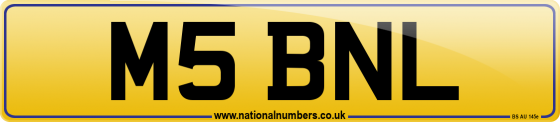 M5 BNL