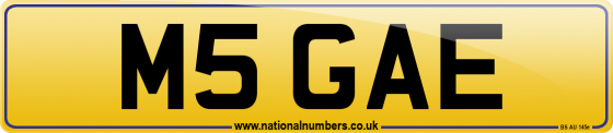 M5 GAE