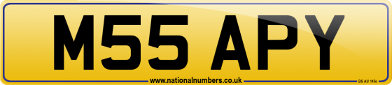 M55 APY