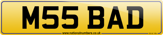 M55 BAD