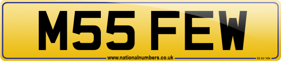 M55 FEW