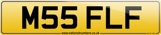 M55 FLF