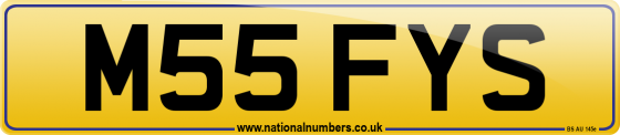 M55 FYS