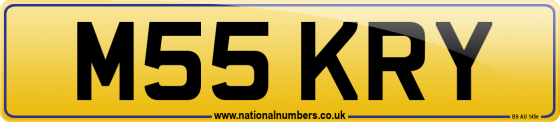 M55 KRY