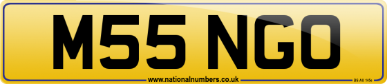 M55 NGO