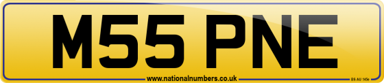 M55 PNE