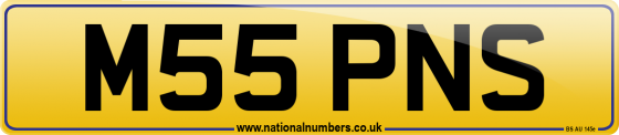 M55 PNS