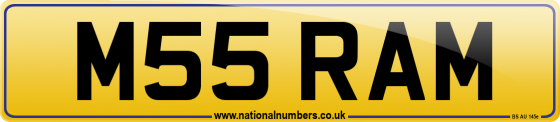 M55 RAM