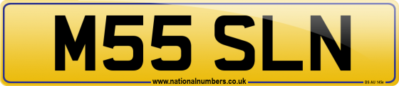 M55 SLN