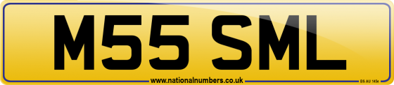 M55 SML