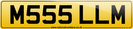 M555 LLM