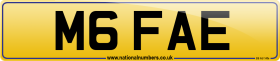 M6 FAE