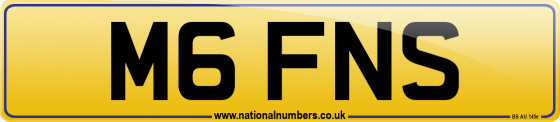 M6 FNS