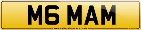 M6 MAM